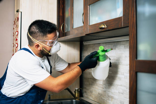Best Rat Extermination Near Me  in Marion, VA