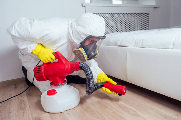 Best Rat Extermination Near Me  in Marion, VA