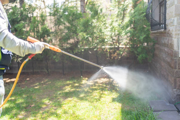 Best Bed Bug Extermination  in Marion, VA