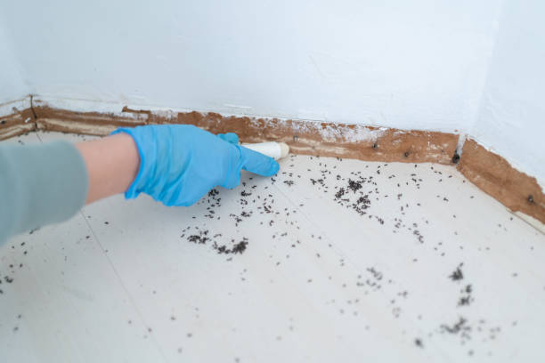 Wildlife Control Services in Marion, VA
