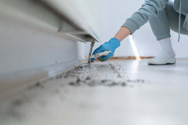  Marion, VA Pest Control Pros