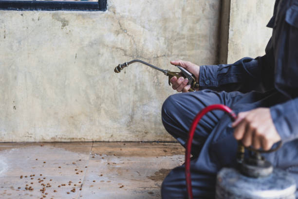 Best Local Pest Control Services  in Marion, VA