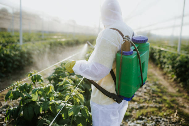Best Mosquito Control Services  in Marion, VA